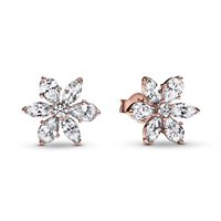 Orecchini Pandora Donna Pandora Timeless in Lega metallica Zirconia 282407C01 - 282407C01